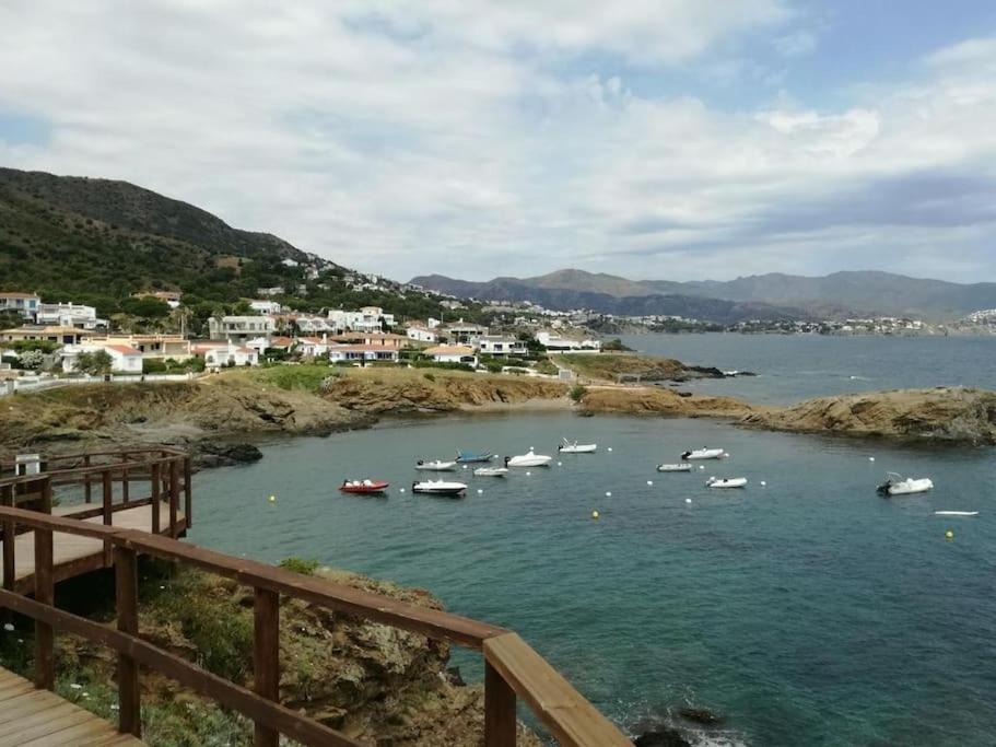 Residence Avec Piscine Face A La Mer, 1Ere Ligne Llança Екстериор снимка